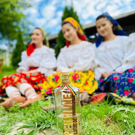 Floare De Maramures 1 바두 이제이 외부 사진