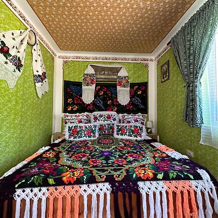 Floare De Maramures 1 바두 이제이 외부 사진