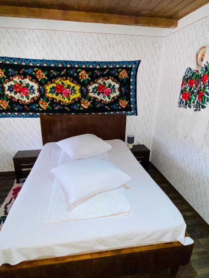 Floare De Maramures 1 바두 이제이 외부 사진