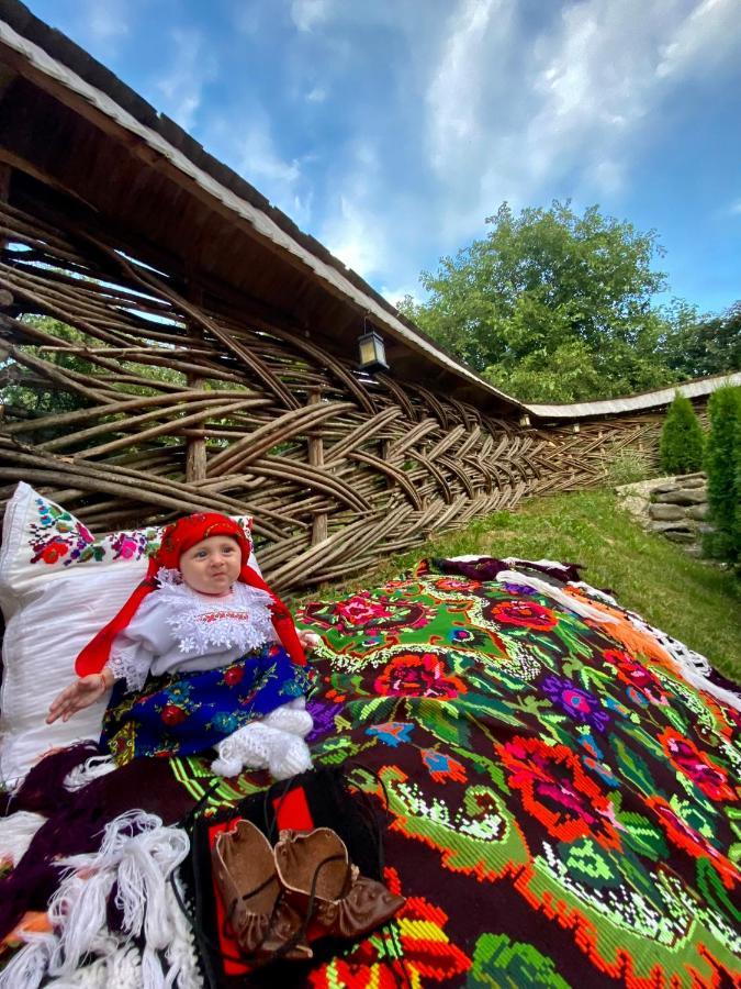 Floare De Maramures 1 바두 이제이 외부 사진